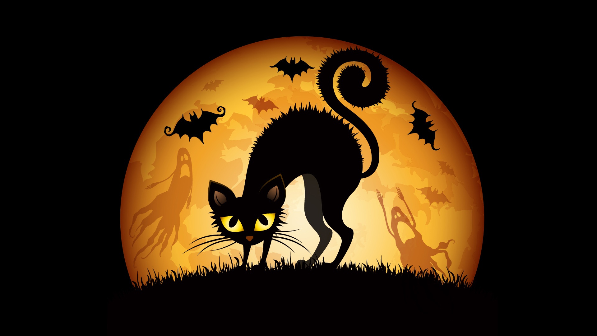 Cual es la Historia sobre los Gatos Negros en Halloween