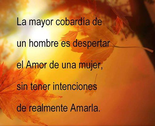 Frases Sobre La Cobardia En El Amor
