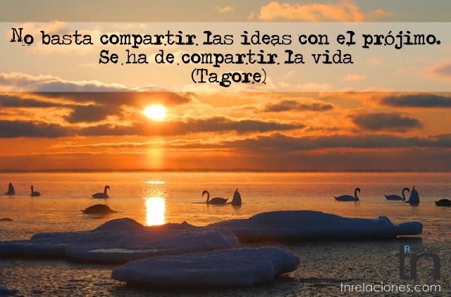 compartir la vida