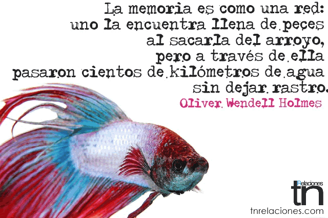 la memoria