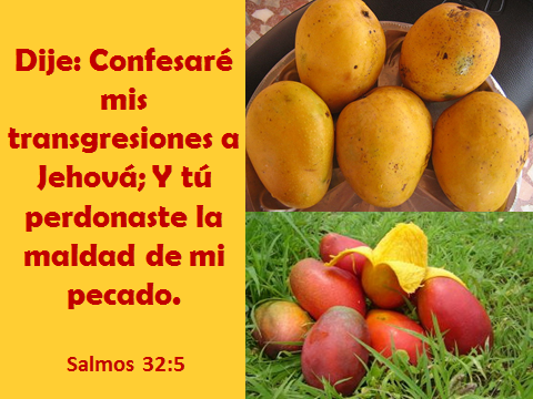 Confesaré mis transgresiones