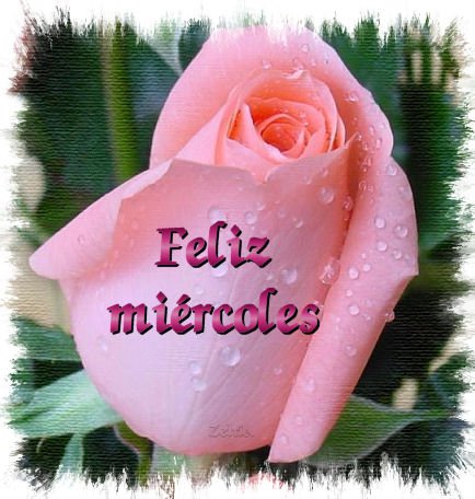 Feliz Miércoles