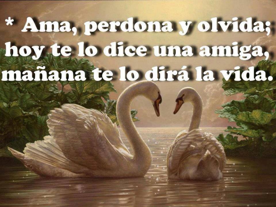 Ama, perdona y olvida; hoy te lo dice una amiga, mañana te lo dirá la vida.