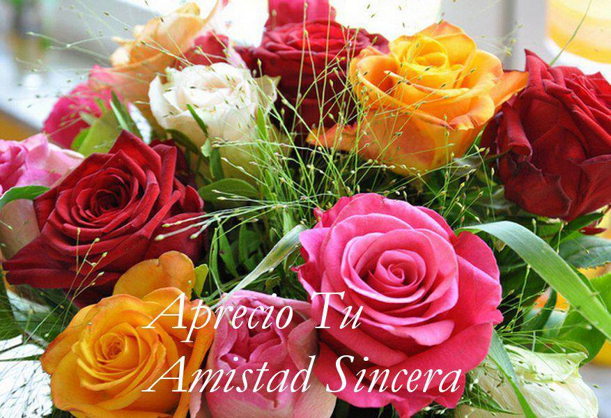 Aprecio tu amistad sincera