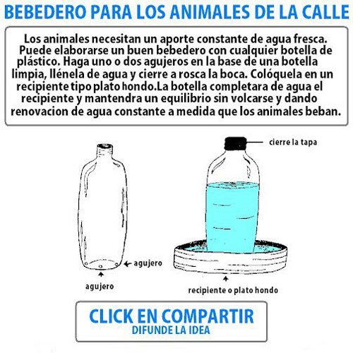 Los animales necesitan un aporte constante de agua fresca. Puede elaborarse un buen bebedero con cualquier botella de plástico. Haga uno o dos agujeros en la base....