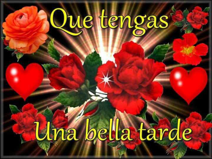 Que tengas buena Tarde
