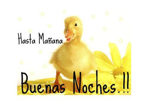 Hasta mañana. Buenas Noches