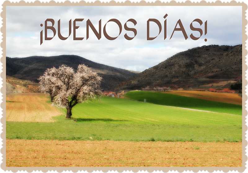 Buenos Días que este día sea como la Naturaleza, limpia, pura y rica, que así sean tus sentimientos en el dia que comienza.
