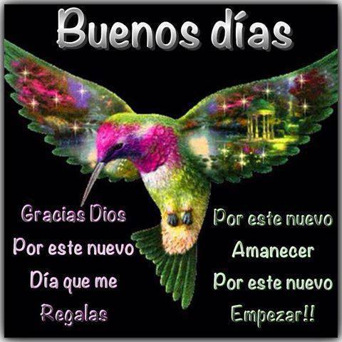 Buenos Días. Gracias Dios, por este nuevo día que me regalas. Por este nuevo Amanecer, por este nuevo empezar.