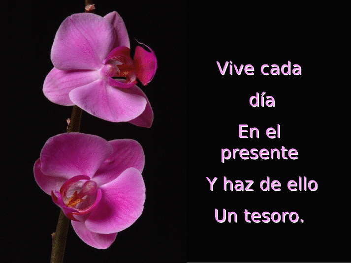 Vive el presente