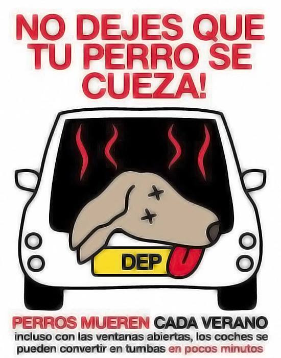 No dejes que tu perro se cueza. Perros mueren cada verano incluso con las ventanas abiertas, los coches se pueden convertir en tumbas en pocos minutos.