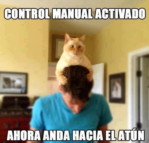 Control Manual Activado. Ahora anda hacia el Atún.
