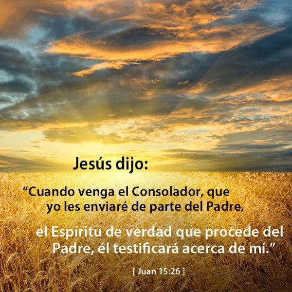 Jesús dijo: Cuando venga el consolador que yo le enviaré de parte del Padre, el Espíritu de verdad que procede del Padre, Él testificará acerca de mí