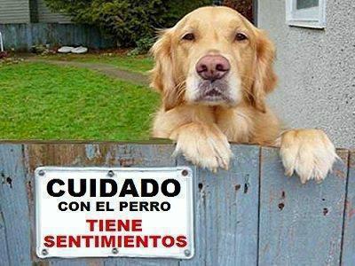 Cuidado con el perro. Tiene sentimientos.