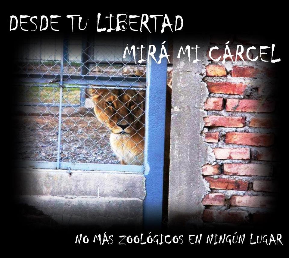 Desde tú Libertad, mirá mi cárcel. No más zoológicos en ningún lugar.