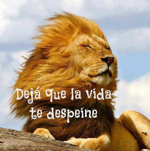 Vive la vida