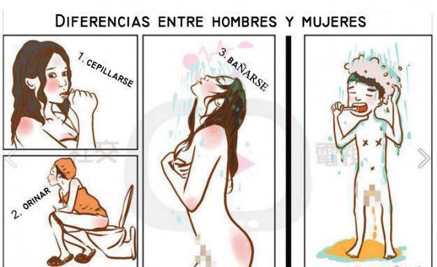 Diferencia entre hombre y mujer