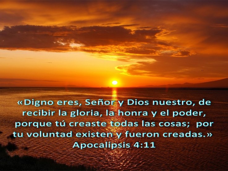Digno eres Señor y Dios nuestro de recibir la gloria, la honra y el poder, porque Tú creaste todas las cosas, por tu voluntad existen y fueron creadas