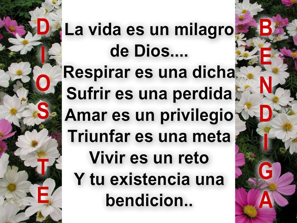 La vida es un milagro de Dios
