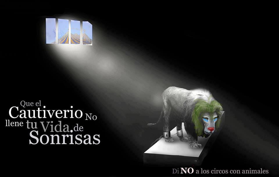 Dí no a los circos con animales. Que el cautiverio no llene tu vida de sonrisas.