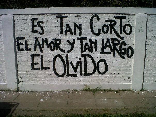 el amor y el olvido