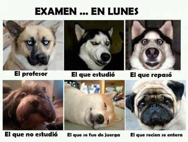 Examen...En Lunes. El Profesor, el que estudió, el que repasó, el que no estudió, el que se fue de juerga...