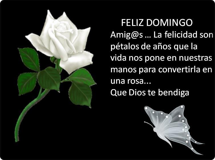 Feliz Domingo Amig@...La felicidad son pétalos de años que la vida nos pone en nuestras manos para convertirla en una rosa...