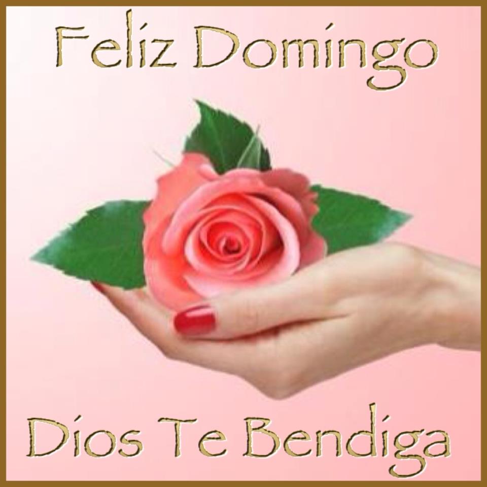 Feliz Domingo. Dios te Bendiga
