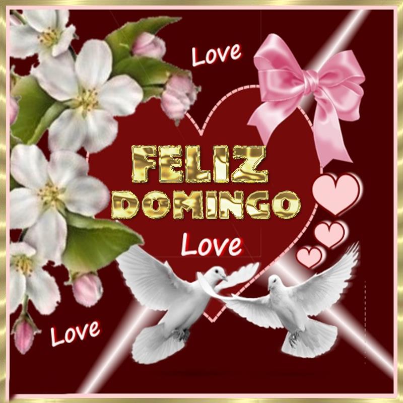 Feliz Domingo. Love