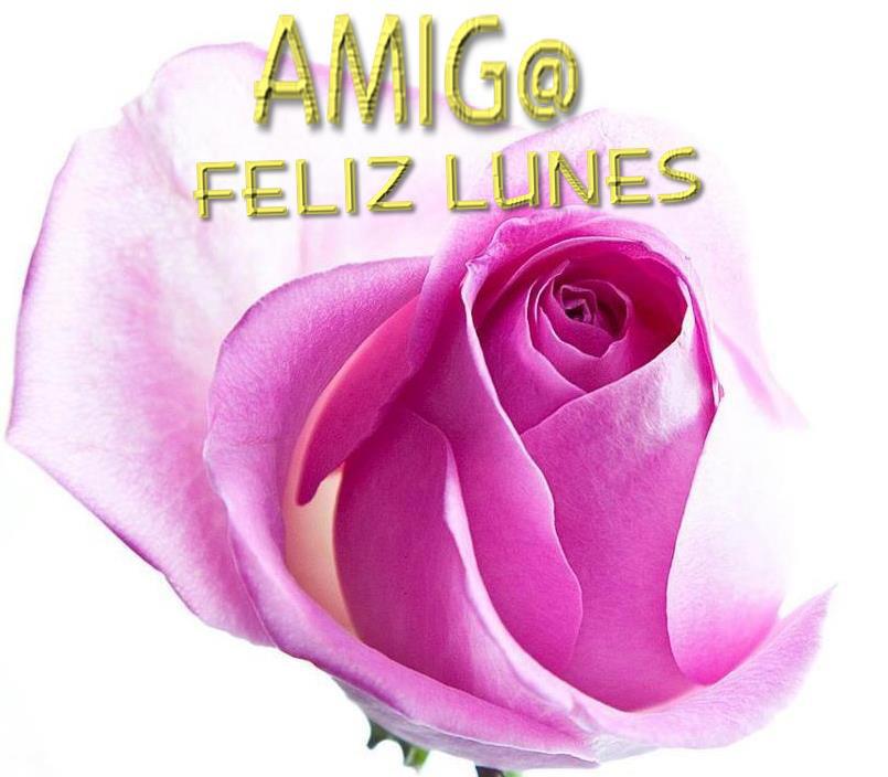 Amig@ Feliz Lunes