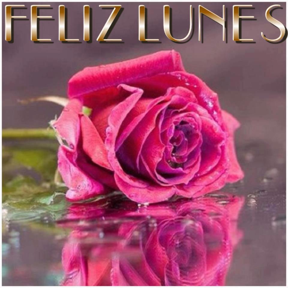 Feliz Lunes