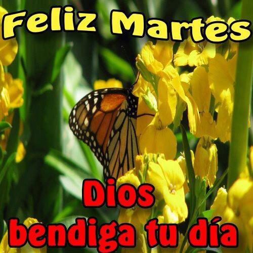 Feliz Martes. Dios bendiga tu día.