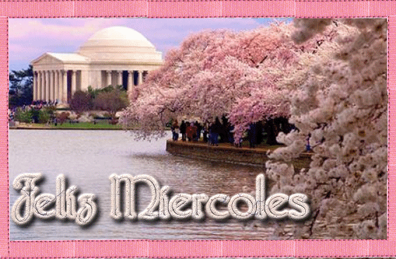 Feliz Miércoles
