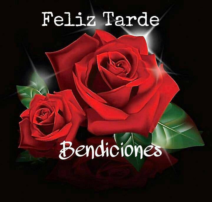 Feliz Tarde. Bendiciones