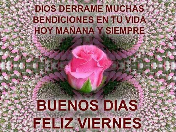 Dios derrame muchas bendiciones en tu vida. Hoy mañana y siempre. Buenos Días. Feliz Viernes.