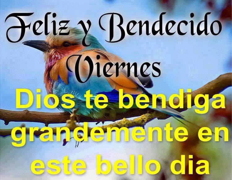 Feliz y Bendecido Viernes. Dios te bendiga grandemente en este bello día.
