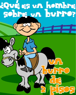 Qué es un hombre sobre un burro. Un burro de 2 pisos.