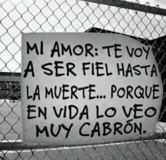 Ser fiel