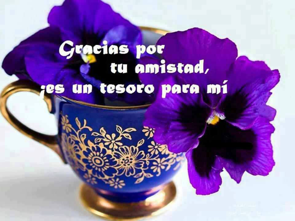 Gracias por tu amistad. Es un tesoro para mí.