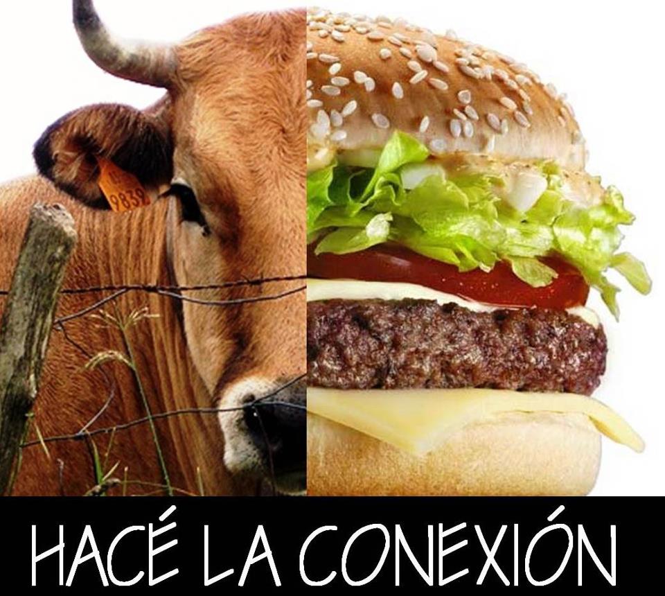 Hacé La Conexión