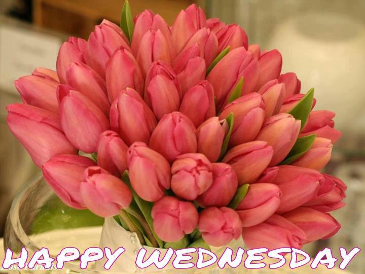 Happy Wednesday