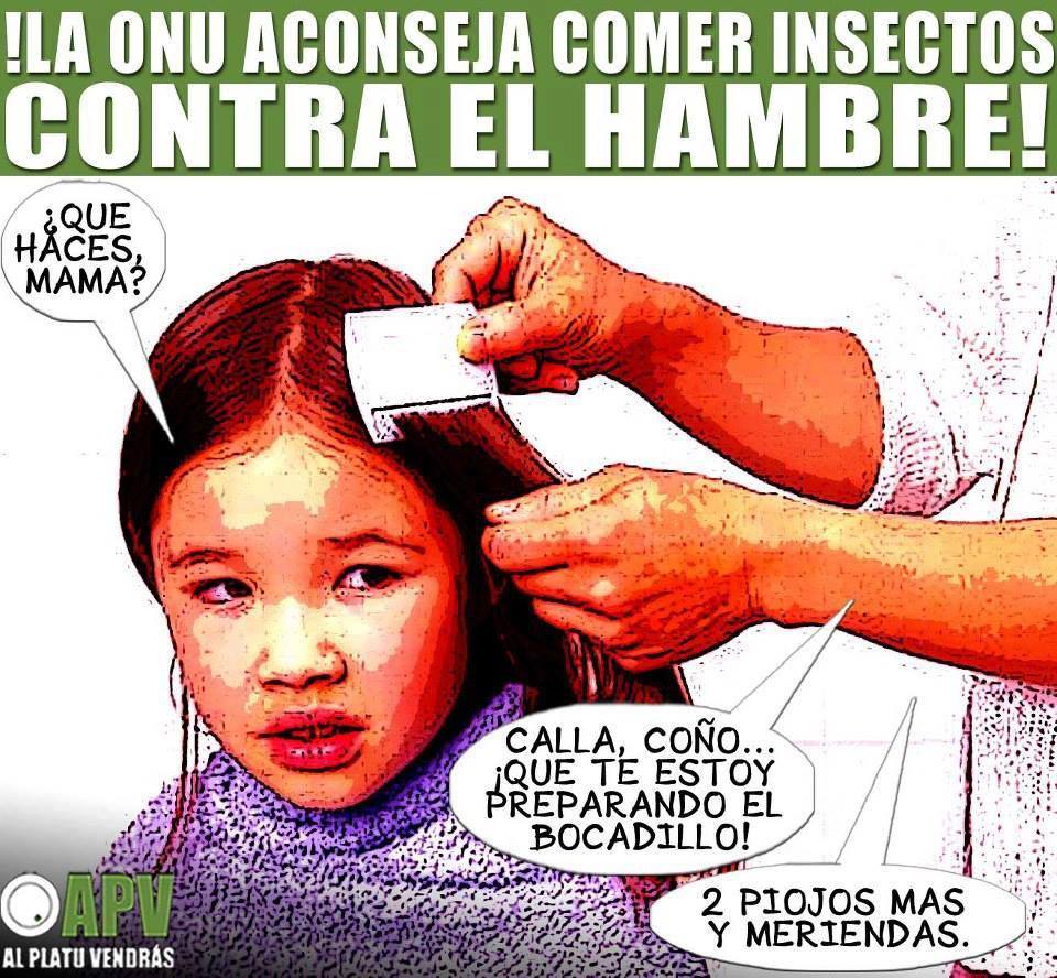 La ONU aconseja comer insectos, contra el Hambre.