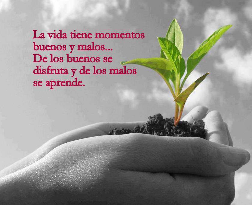Momentos buenos y malos