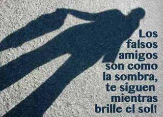 Los falsos amigos son como la sombra, te siguen mientras brille el sol.