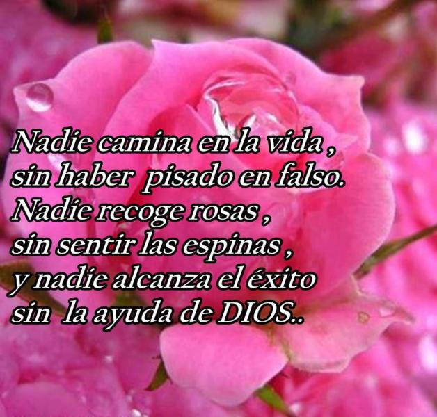 nadie-camina