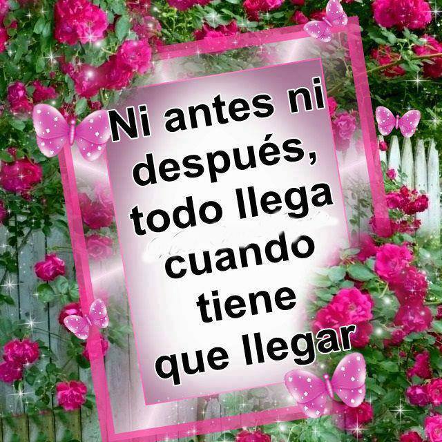 Ni antes ni después todo llega cuando tiene que llegar