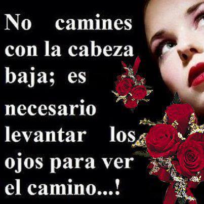 No camines con la cabeza baja es necesario levantar los ojos para ver el camino