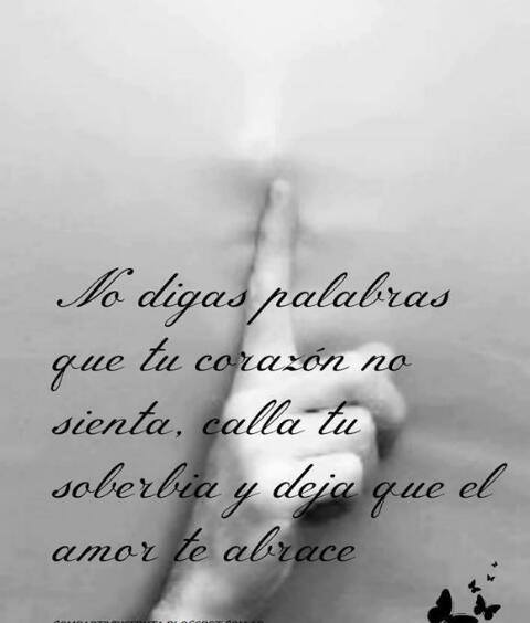 No digas palabras que tu corazón no sienta, calla tu soberbia y deja que el amor te abrace