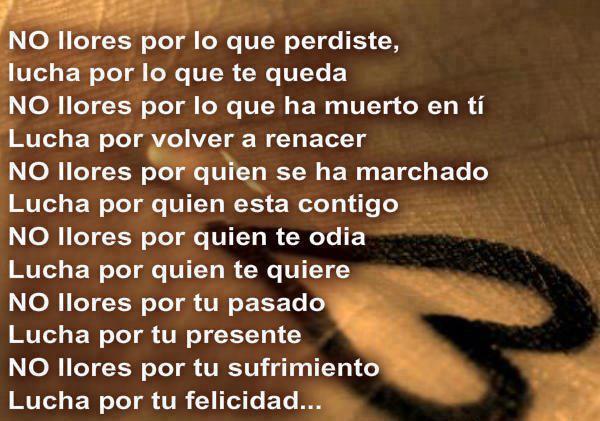 No llores por lo que perdiste, lo que ha muerto en tí, por quien se ha marchado, por quien te odia por tu pasado, por tu sufrimiento... Lucha por tu felicidad