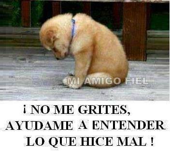 No me grites, ayudame a entender lo que hice mal.